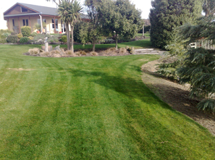 Rural Lawn Mowing based in Rodney