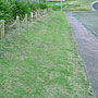 Road Frontage lawn mowing in Red Beach