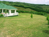 Recommended Lawn Mowing and property maintenance on the Hibiscus Coast